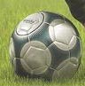 pallone.jpg (7686 byte)